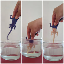 Colour changing Lizards