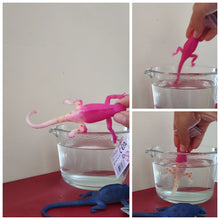 Colour changing Lizards