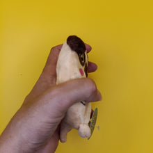 Sandbaggers Pet Dog or Cat