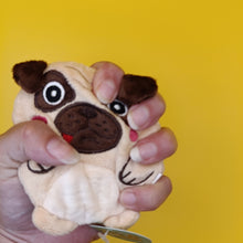 Sandbaggers Pet Dog or Cat