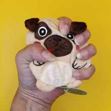 Sandbaggers Pet Dog or Cat