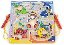 Magnetic Bead Tracing board