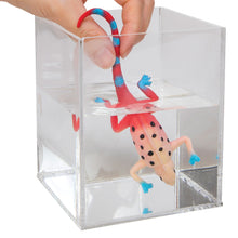 Keycraft Colour changing lizards