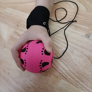 Yo-yo return ball 