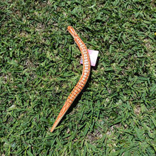 toy snake in grass