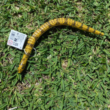Yellow wood slithering snake