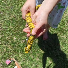 Girll holding toy snake 