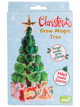 December 1st Christmas box gift