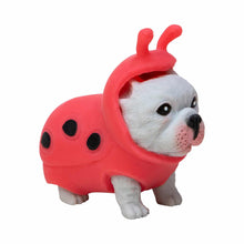 Puppy in a red ladybug costume on a white background