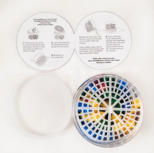 Color swatch wheel with instructions on a white background