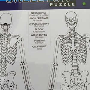 magnetic board puzzle put the skeleton and bones together 