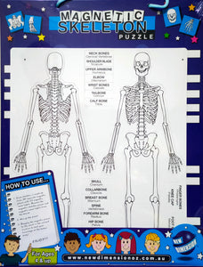 Skeleton magnetic board - bones
