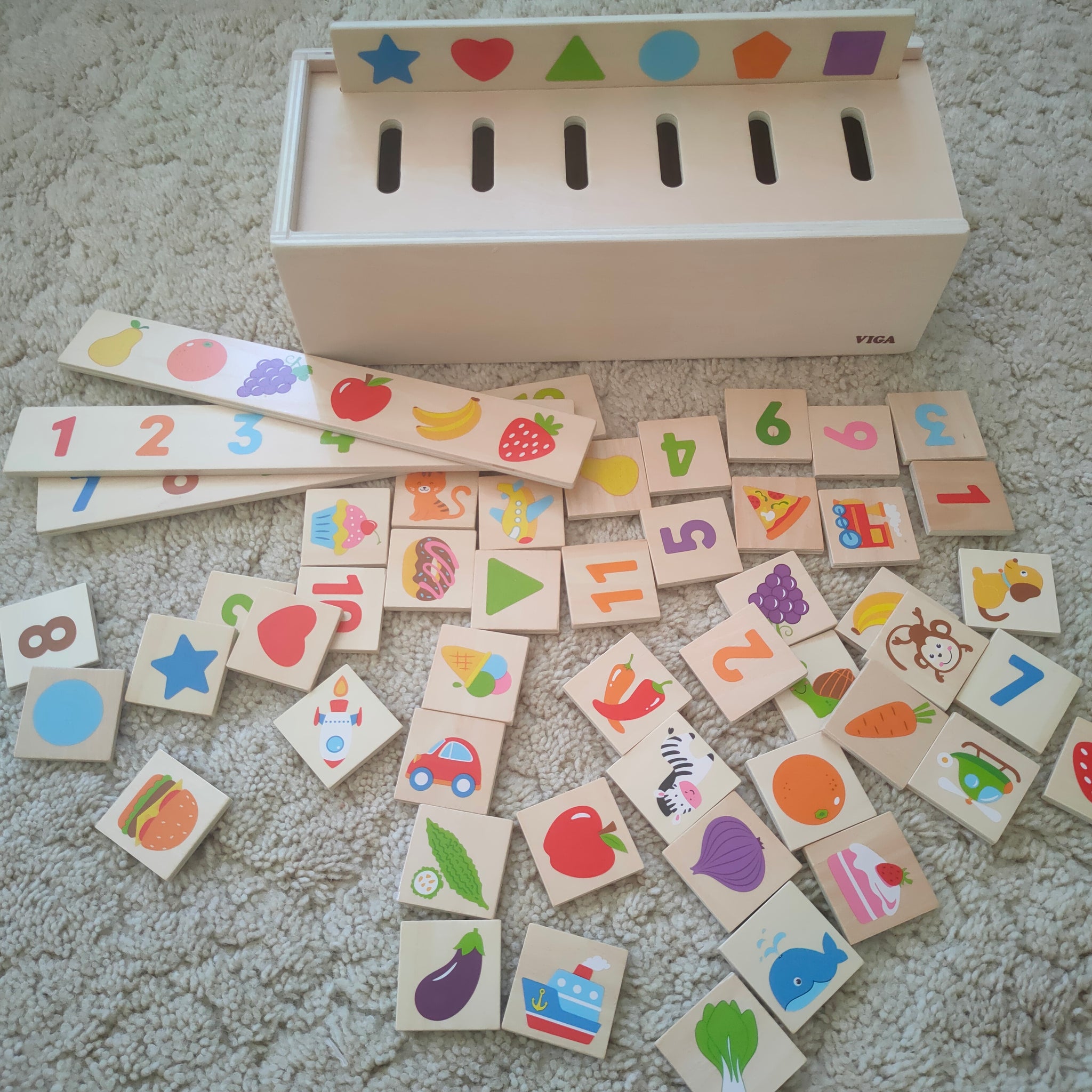 Match and sort - Wooden Classification sorting box – Advancing All Children