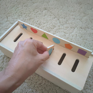 Match and sort - Wooden Classification sorting box