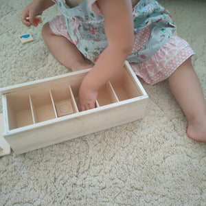 Match and sort - Wooden Classification sorting box – Advancing All Children