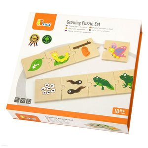 Wooden Life cycle - Growing sequence puzzle set tadpoles to frogs